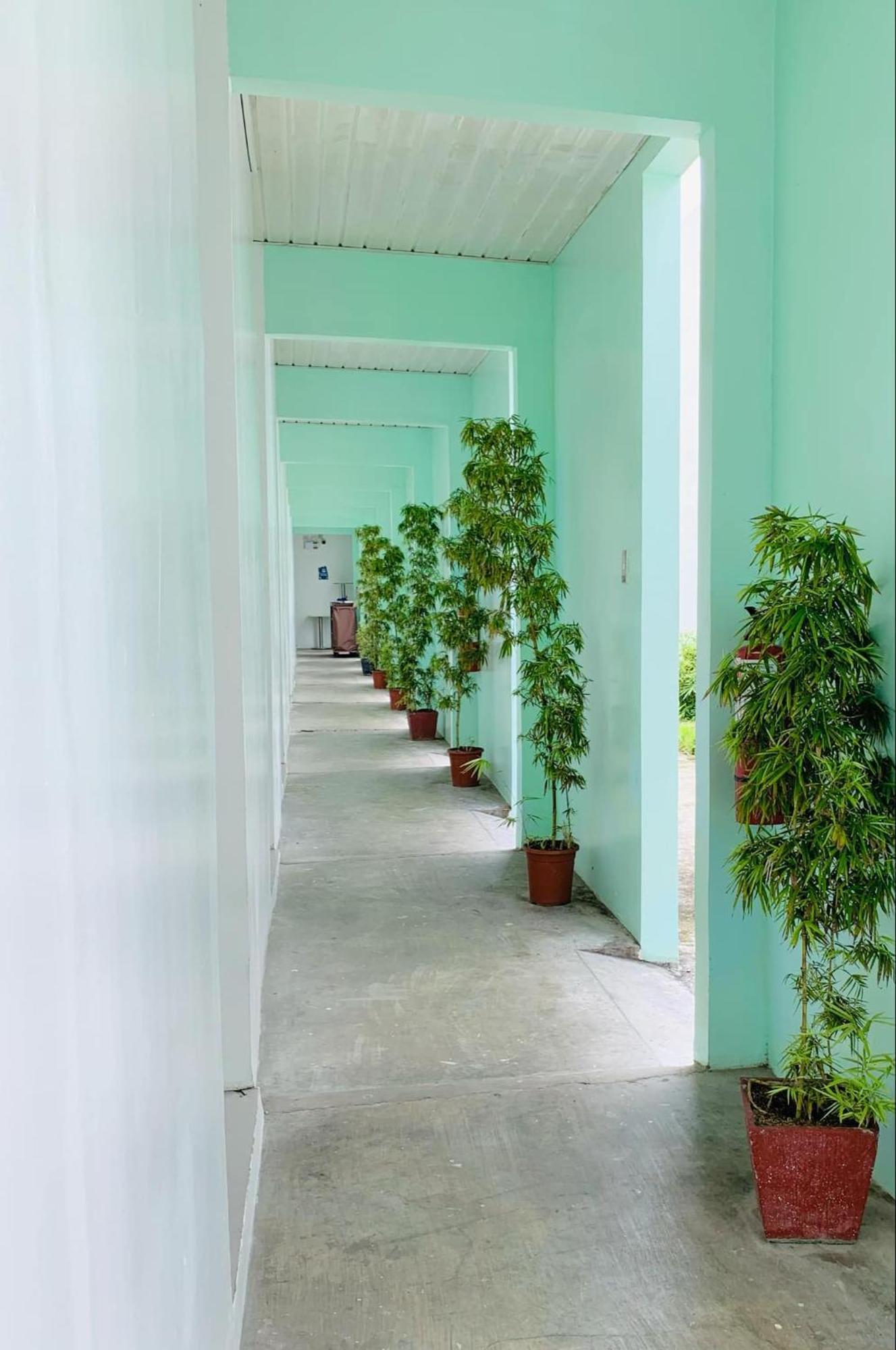 Kojo Hotel Tagum Kültér fotó